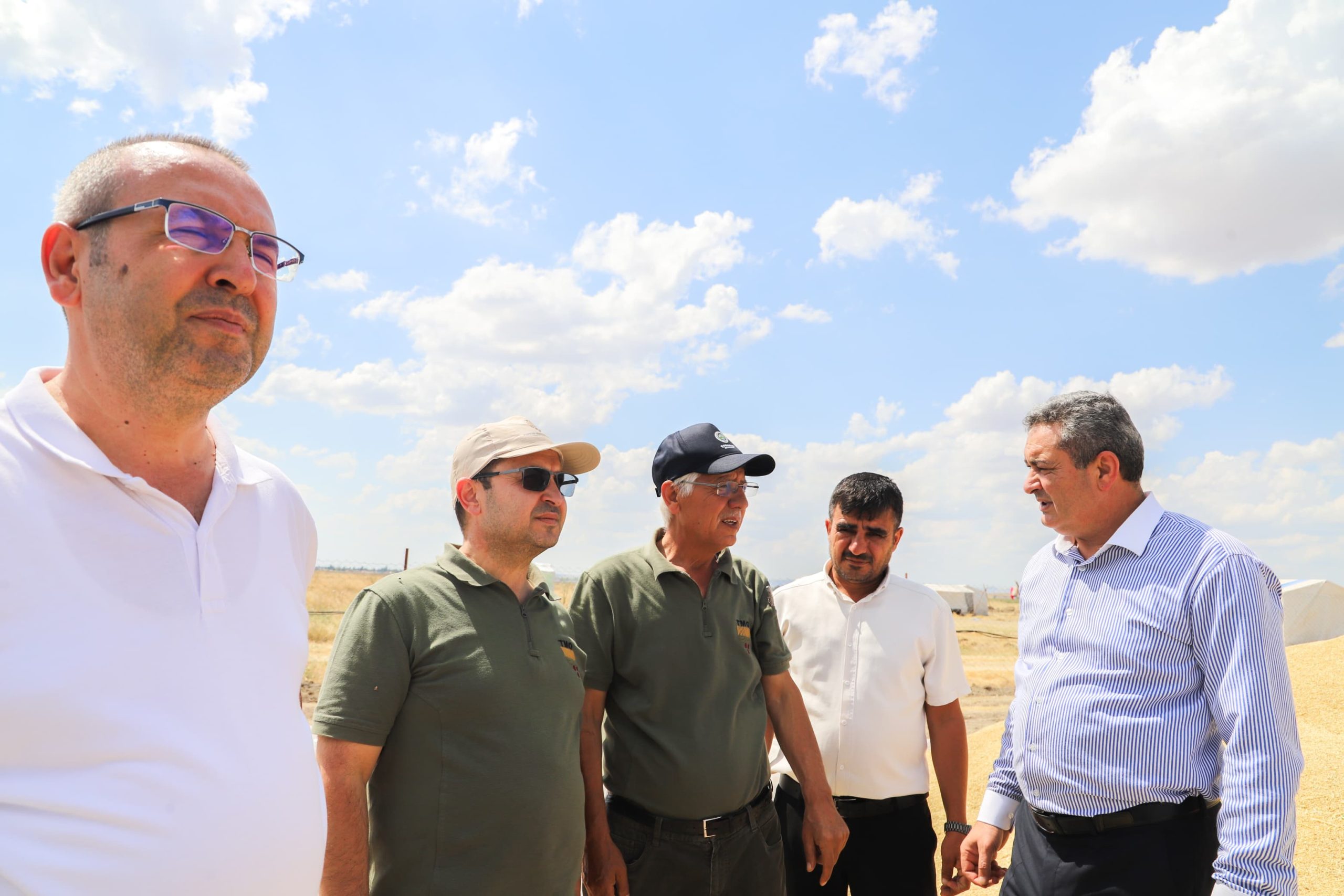 Çobanlar’da Hasat Heyecanı: TMO Alımları Başladı! - Fotoğraf 1