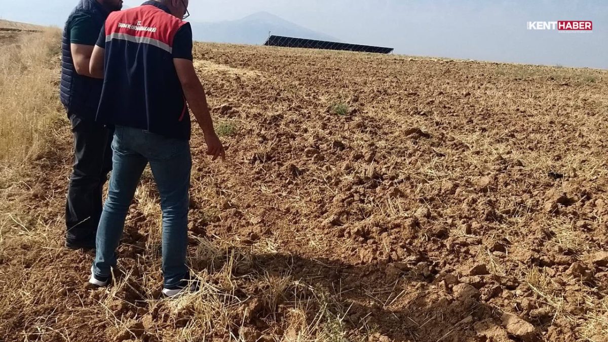 Afyonkarahisar’da Tarım Alanları Mercek Altında: Bolvadin’de Saha Denetimleri Sürüyor