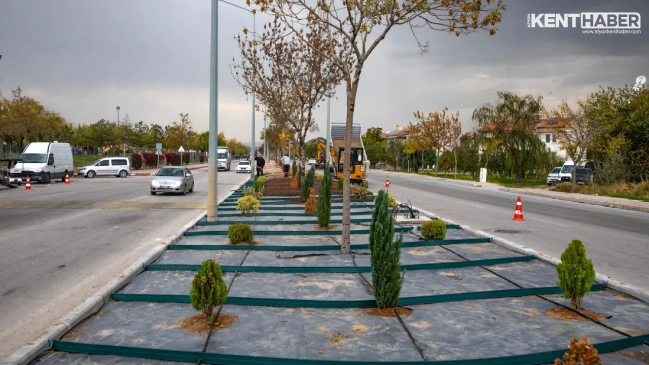 Afyonkarahisar'da Filli Kavşak ile Devlet Hastanesi Arasındaki Orta Refüj Yeşillendirildi - Detay Görsel 3