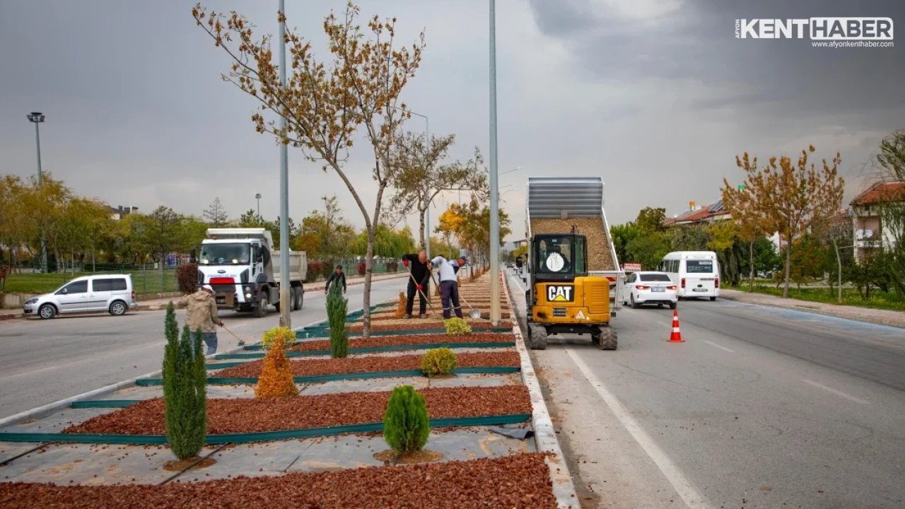 Afyonkarahisar'da Filli Kavşak ile Devlet Hastanesi Arasındaki Orta Refüj Yeşillendirildi - Detay Görsel 4