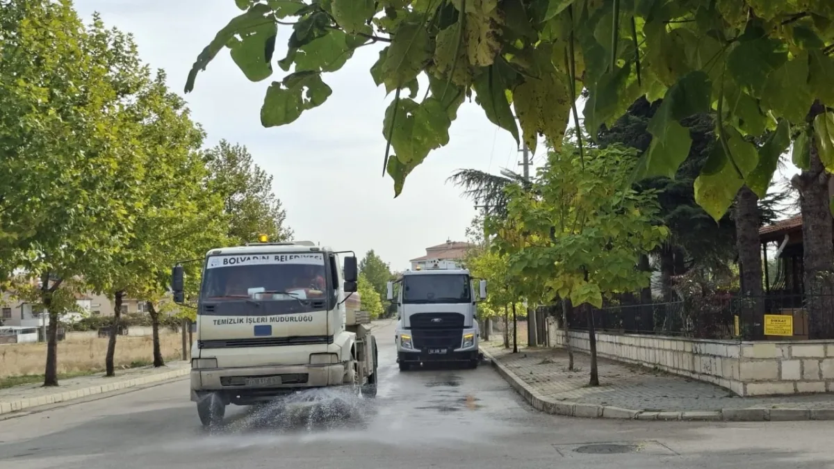 BADEMLİ MAHALLESİ’NDE DETAYLI TEMİZLİK ÇALIŞMASI - Görsel 2