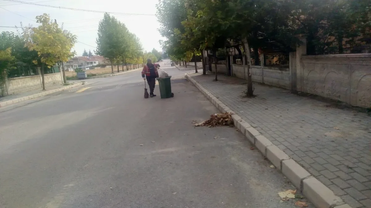 BADEMLİ MAHALLESİ’NDE DETAYLI TEMİZLİK ÇALIŞMASI - Görsel 3