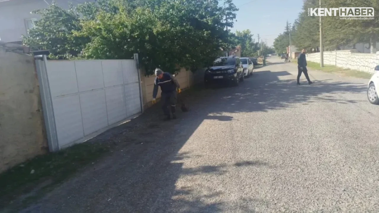 Bolvadin Gölbaşı Mahallesi'nde Kapsamlı Temizlik Seferberliği Başlatıldı - Detay Görsel 5