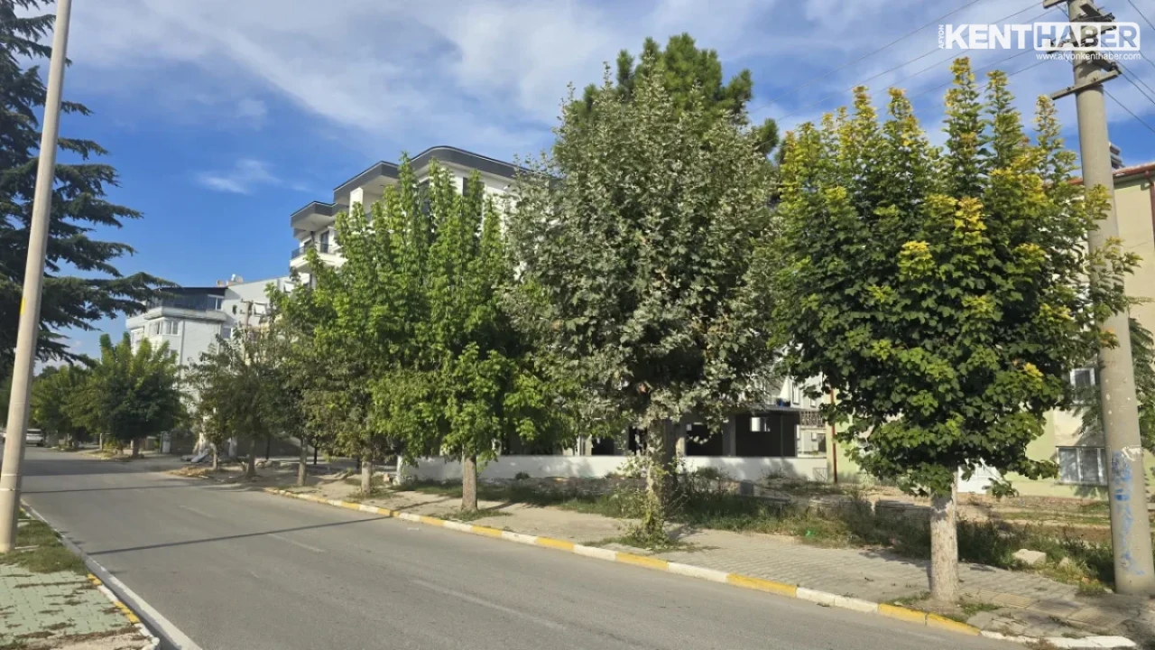 Bolvadin İstasyon Caddesi’nde Kapsamlı Ağaç Budama ve Çevre Düzenleme Çalışmaları Sürüyor