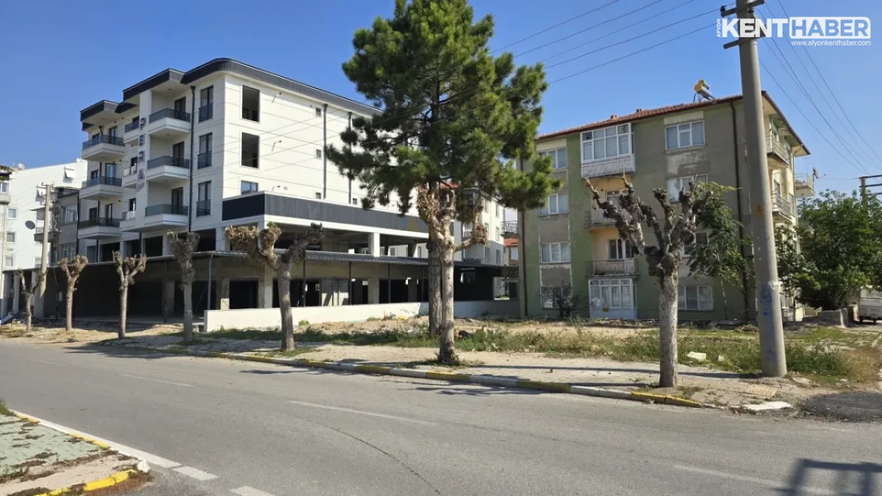 Bolvadin İstasyon Caddesi'nde Kapsamlı Ağaç Budama ve Çevre Düzenleme Çalışmaları Sürüyor - Detay Görsel 1