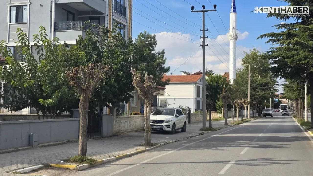 Bolvadin İstasyon Caddesi'nde Kapsamlı Ağaç Budama ve Çevre Düzenleme Çalışmaları Sürüyor - Detay Görsel 3