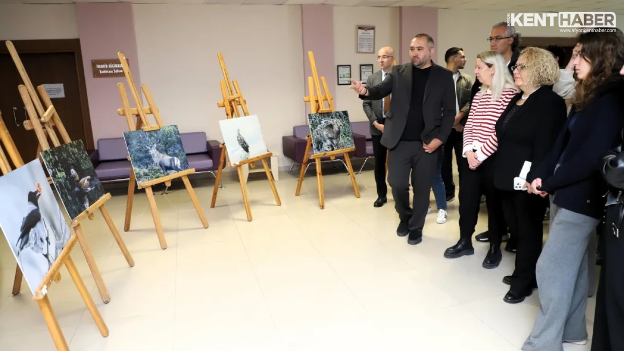 Kütahya'nın Yaban Hayatı Afyon Kocatepe Üniversitesi'nde Fotoğraflarla Tanıtıldı - Detay Görsel 1
