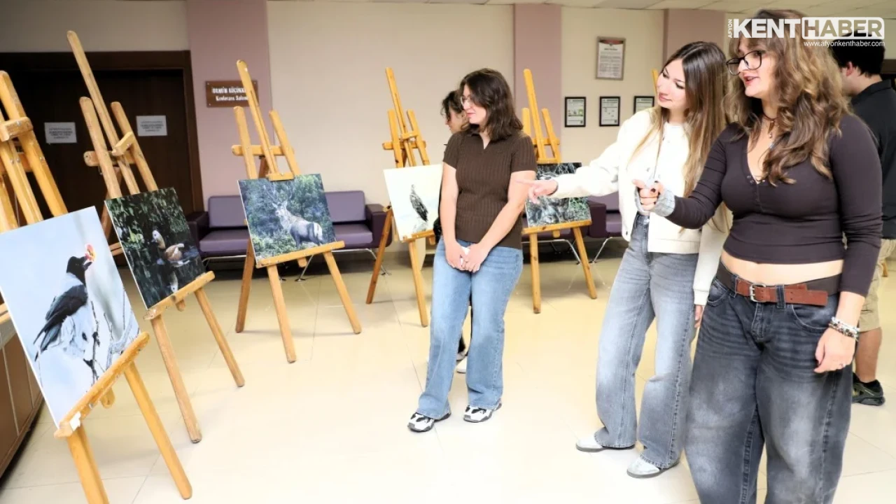 Kütahya'nın Yaban Hayatı Afyon Kocatepe Üniversitesi'nde Fotoğraflarla Tanıtıldı - Detay Görsel 3